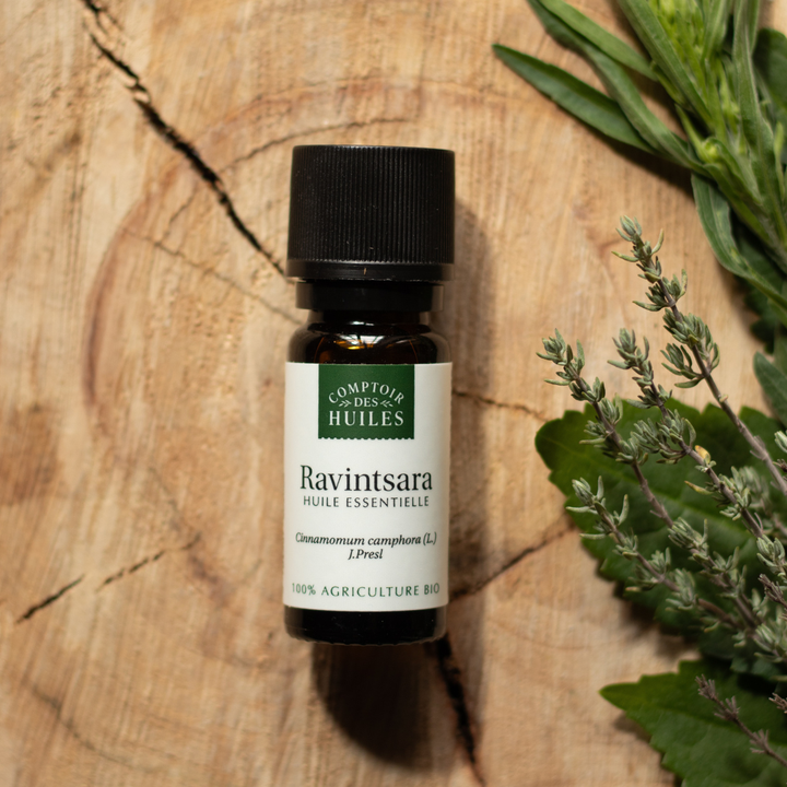 Huile Essentielle de Ravintsara Bio – Purifiante, Régénérante et Équilibrante