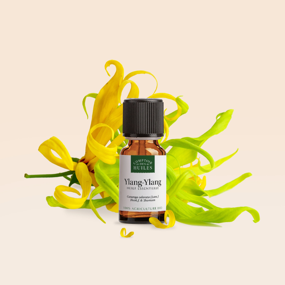 Huile Essentielle d’Ylang Ylang Bio – Équilibrante, Apaisante et Régénérante | Comptoir des Huiles