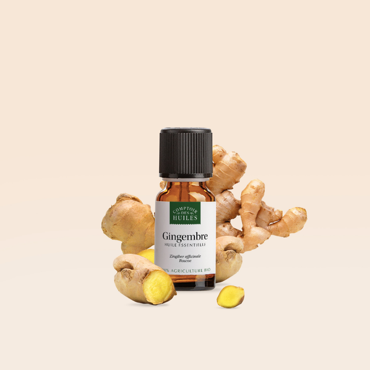 Huile Essentielle de Gingembre Bio – Tonifiante, Revitalisante et Réchauffante