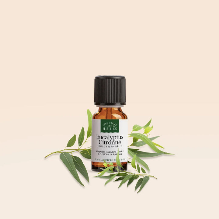 Huile Essentielle d’Eucalyptus Citronné BIO – Parfum Frais et Naturel