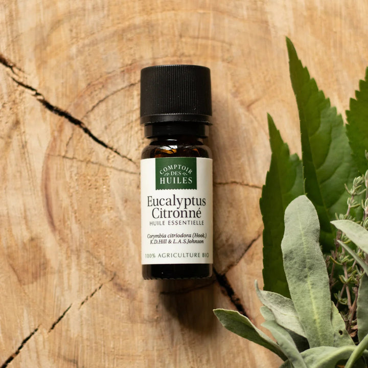 Huile Essentielle d’Eucalyptus Citronné BIO – Parfum Frais et Naturel