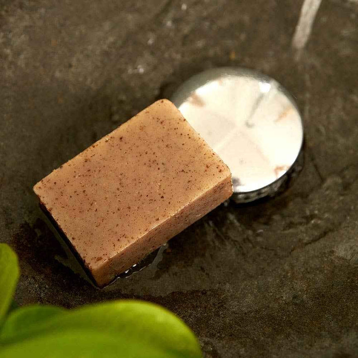 Savon Exfoliant Bio aux Tourteaux de Moringa – Corps  Fabriqué à la Main en