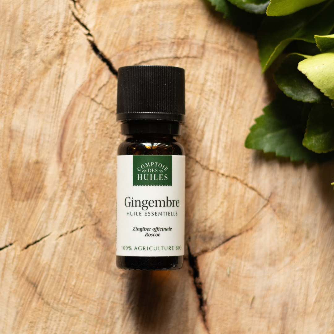 Huile Essentielle de Gingembre Bio – Tonifiante, Revitalisante et Réchauffante