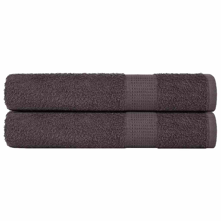 Gants De Toilette 2 Pcs 360 G/M² 100% Coton Anthracite