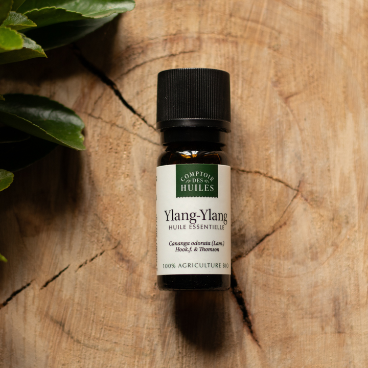 Huile Essentielle d’Ylang Ylang Bio – Équilibrante, Apaisante et Régénérante | Comptoir des Huiles