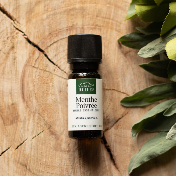 Huile Essentielle de Menthe Poivrée Bio – Pure, Rafraîchissante et Revitalisante