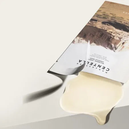 Masque Watergel à la Centella de Madagascar – SKIN1004